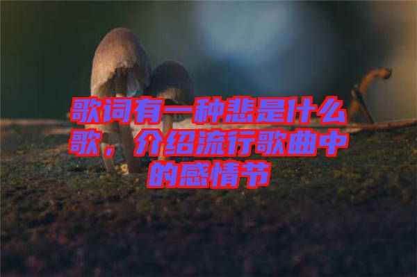 歌詞有一種悲是什么歌,介紹流行歌曲中的感情節(jié)