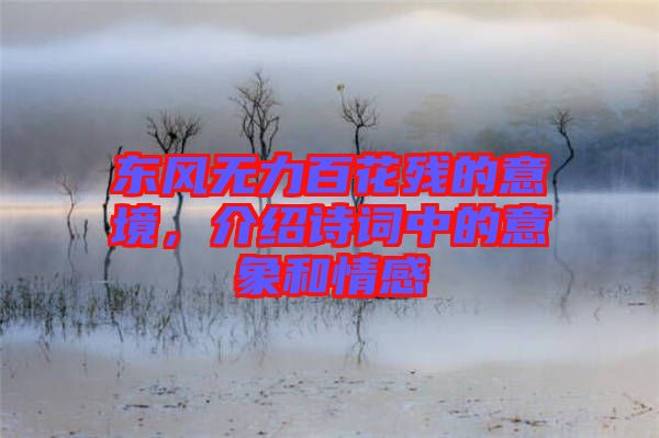 東風(fēng)無(wú)力百花殘的意境,介紹詩(shī)詞中的意象和情感