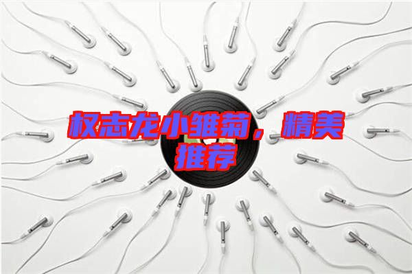 權(quán)志龍小雛菊,精美推薦