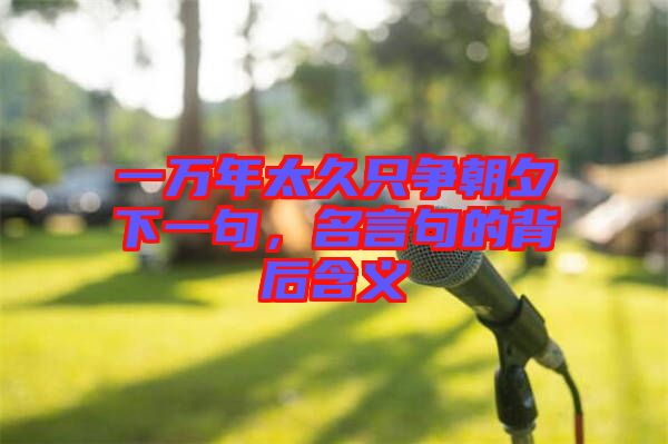 一萬(wàn)年太久只爭(zhēng)朝夕下一句,名言句的背后含義