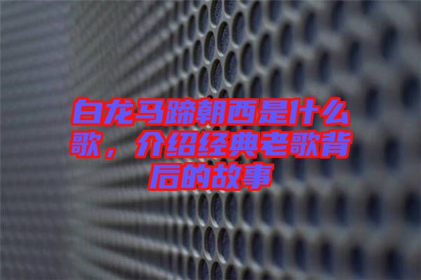 白龍馬蹄朝西是什么歌，介紹經(jīng)典老歌背后的故事