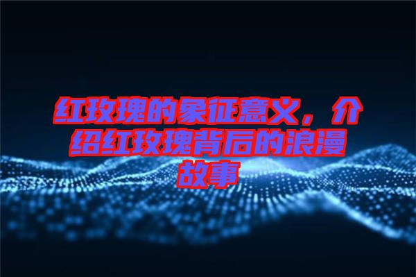 紅玫瑰的象征意義，介紹紅玫瑰背后的浪漫故事