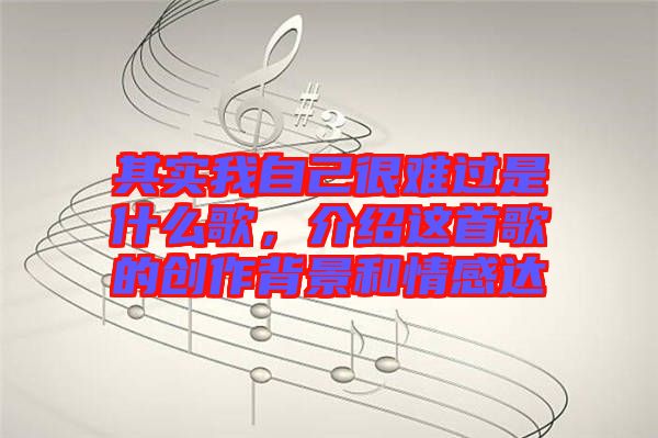 其實我自己很難過是什么歌，介紹這首歌的創作背景和情感達