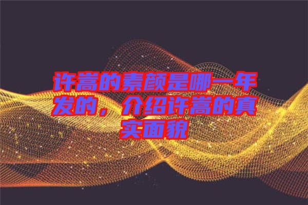 許嵩的素顏是哪一年發(fā)的,介紹許嵩的真實(shí)面貌