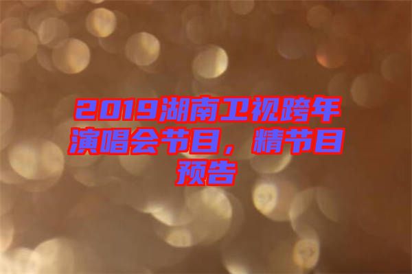 2019湖南衛視跨年演唱會節目，精節目預告
