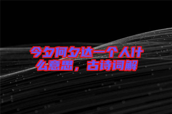今夕何夕達一個人什么意思，古詩詞解