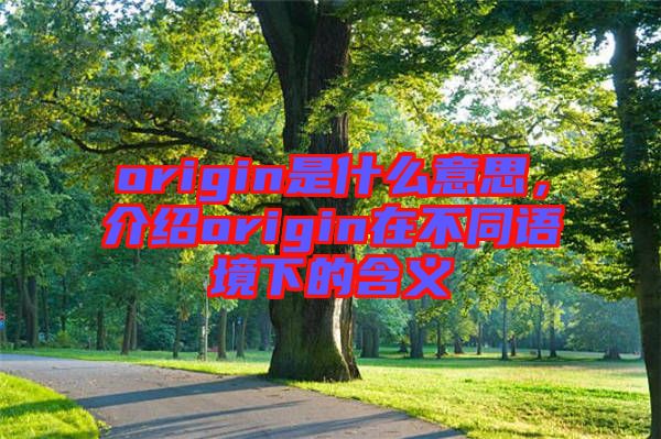 origin是什么意思,介紹origin在不同語境下的含義