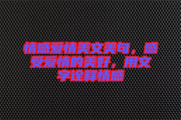 情感愛情美文美句,感受愛情的美好,用文字詮釋情感