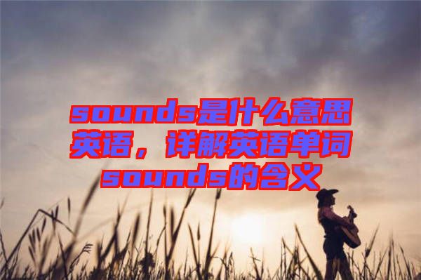 sounds是什么意思英語(yǔ),詳解英語(yǔ)單詞sounds的含義