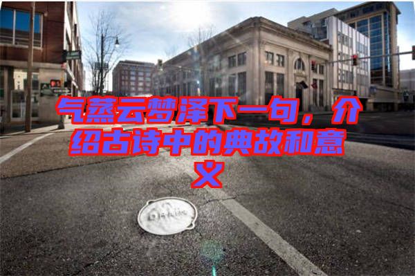 氣蒸云夢(mèng)澤下一句,介紹古詩中的典故和意義