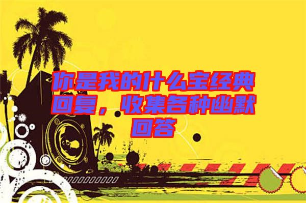 你是我的什么寶經(jīng)典回復(fù),收集各種幽默回答