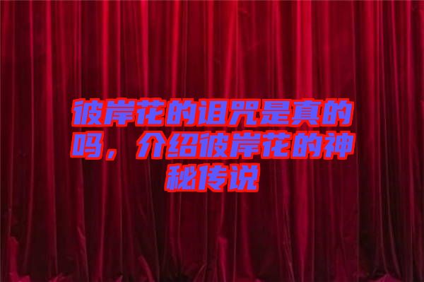 彼岸花的詛咒是真的嗎，介紹彼岸花的神秘傳說