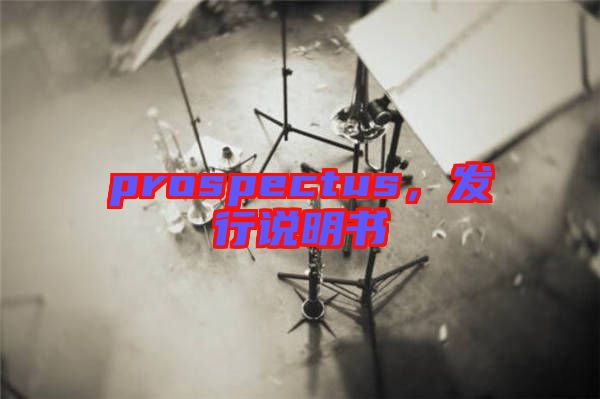 prospectus,發(fā)行說(shuō)明書(shū)