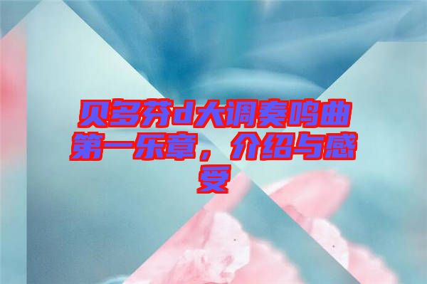 貝多芬d大調(diào)奏鳴曲第一樂章,介紹與感受