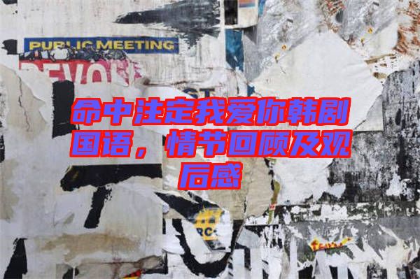 命中注定我愛你韓劇國語，情節(jié)回顧及觀后感