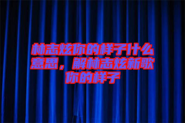 林志炫你的樣子什么意思，解林志炫新歌你的樣子