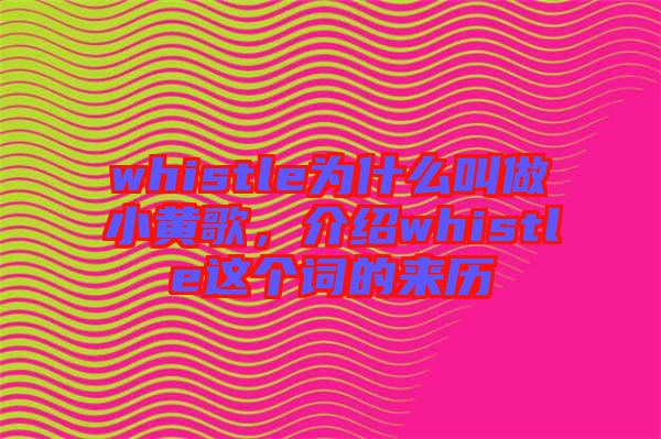 whistle為什么叫做小黃歌,介紹whistle這個詞的來歷