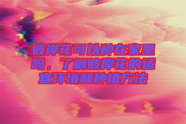 彼岸花可以種在家里嗎，了解彼岸花的適宜環(huán)境和種植方法