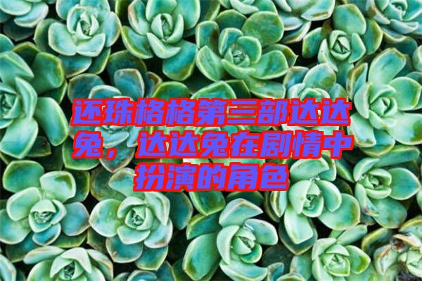 還珠格格第三部達(dá)達(dá)兔,達(dá)達(dá)兔在劇情中扮演的角色