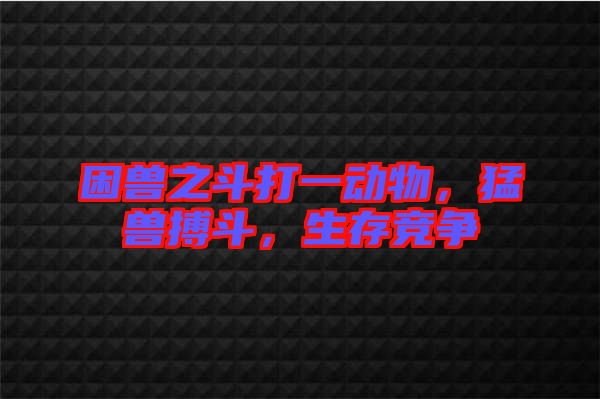 困獸之斗打一動物，猛獸搏斗，生存競爭