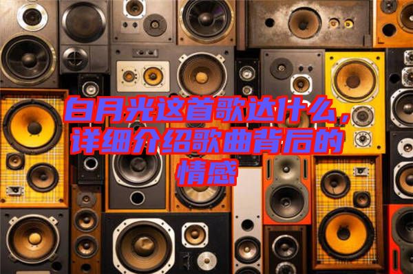 白月光這首歌達什么,詳細介紹歌曲背后的情感