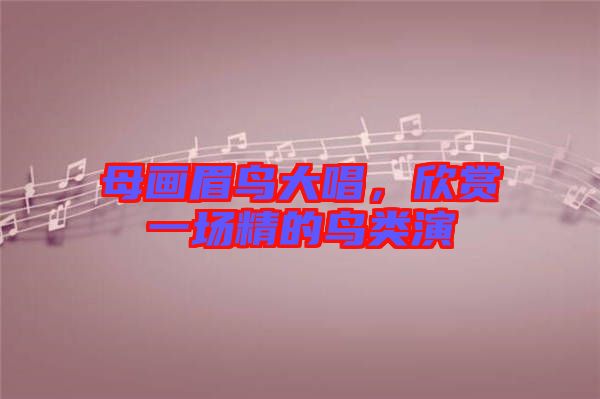 母畫眉鳥大唱，欣賞一場精的鳥類演