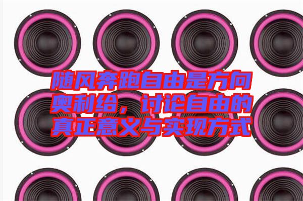 隨風奔跑自由是方向奧利給,討論自由的真正意義與實現(xiàn)方式