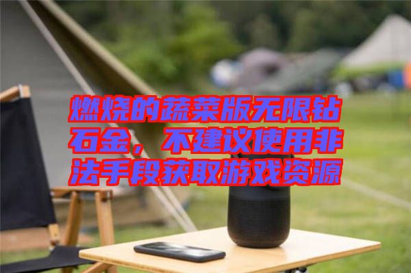 燃燒的蔬菜版無限鉆石金,不建議使用非法手段獲取游戲資源