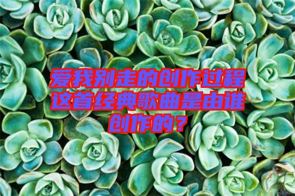 愛我別走的創作過程這首經典歌曲是由誰創作的?