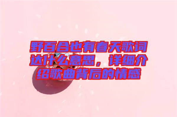 野百合也有春天歌詞達(dá)什么意思,詳細(xì)介紹歌曲背后的情感