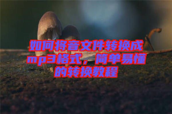 如何將音文件轉(zhuǎn)換成mp3格式,簡單易懂的轉(zhuǎn)換教程