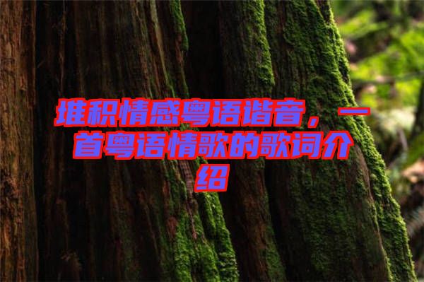 堆積情感粵語(yǔ)諧音,一首粵語(yǔ)情歌的歌詞介紹