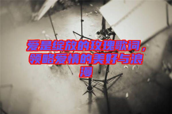 愛是綻放的玫瑰歌詞，領略愛情的美好與浪漫