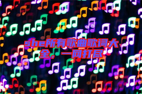 she所有歌曲歌詞大全,一網(wǎng)打盡