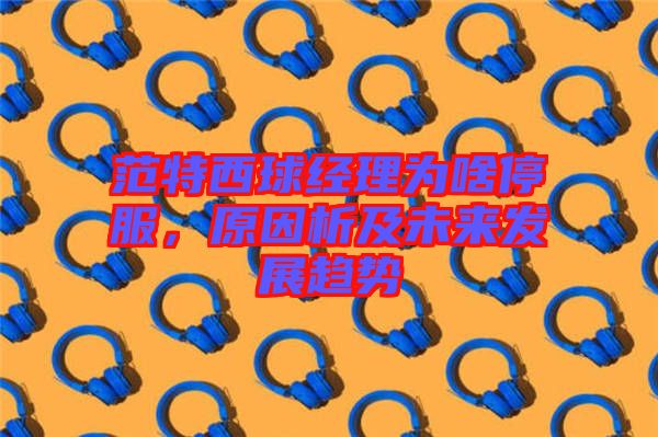 范特西球經理為啥停服,原因析及未來發展趨勢