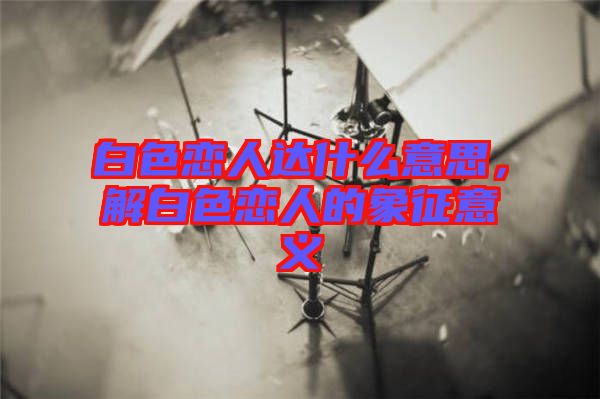 白色戀人達什么意思,解白色戀人的象征意義