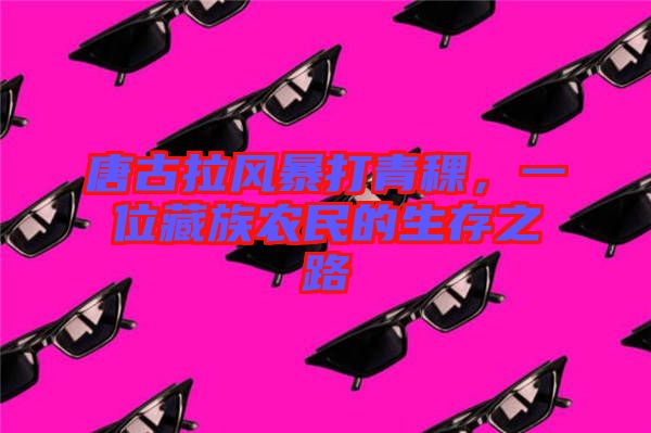 唐古拉風(fēng)暴打青稞,一位藏族農(nóng)民的生存之路