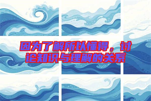 因為了解所以懂得,討論知識與理解的關系