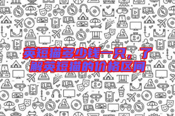 英短貓多少錢一只,了解英短貓的價格區(qū)間