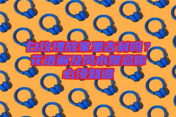 白玫瑰放家里吉利嗎?花語解及風水禁忌你必須知道