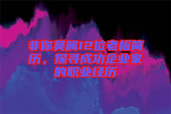 非你莫屬12位老板簡歷,探尋成功企業(yè)家的職業(yè)經(jīng)歷
