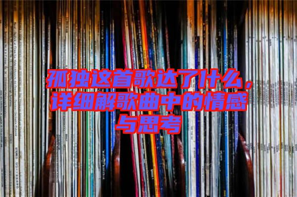 孤獨這首歌達了什么，詳細解歌曲中的情感與思考