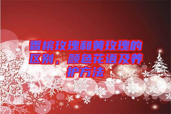 香檳玫瑰和黃玫瑰的區(qū)別,顏色花語及養(yǎng)護方法