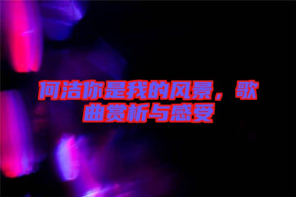 何潔你是我的風景,歌曲賞析與感受