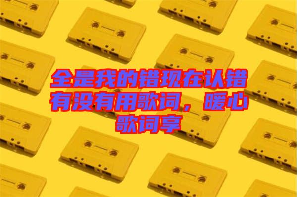 全是我的錯(cuò)現(xiàn)在認(rèn)錯(cuò)有沒有用歌詞,暖心歌詞享
