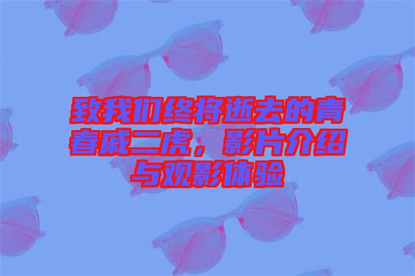 致我們終將逝去的青春戚二虎，影片介紹與觀影體驗