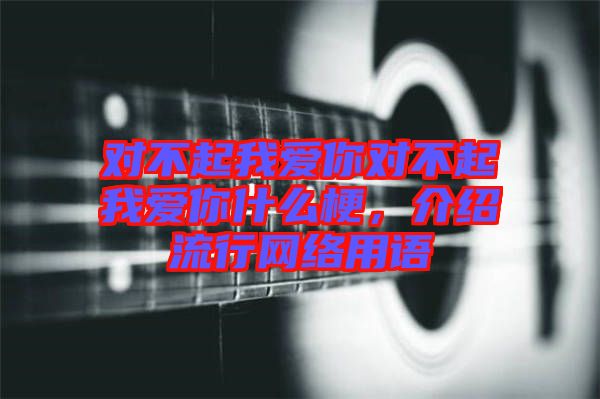 對不起我愛你對不起我愛你什么梗，介紹流行網(wǎng)絡(luò)用語