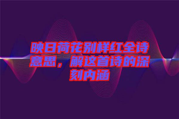 映日荷花別樣紅全詩意思,解這首詩的深刻內(nèi)涵