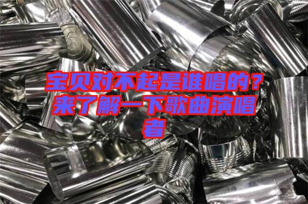 寶貝對(duì)不起是誰唱的?來了解一下歌曲演唱者