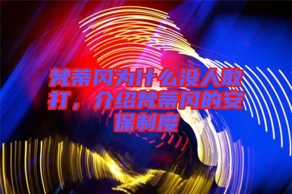 梵蒂岡為什么沒(méi)人敢打,介紹梵蒂岡的安保制度
